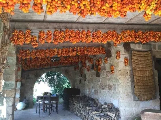 Ev, Birden Çok Yatak