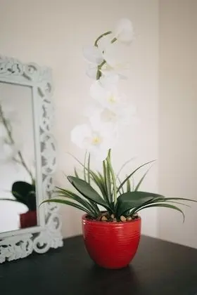 Deluxe Apart Daire, Birden Çok Yatak, Sigara İçilmez, Plaj Manzaralı