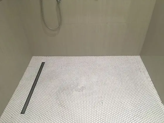Ev