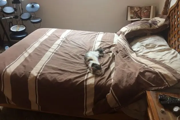 Family Ev, 2 Yatak Odası (Pet Friendly Rest House)