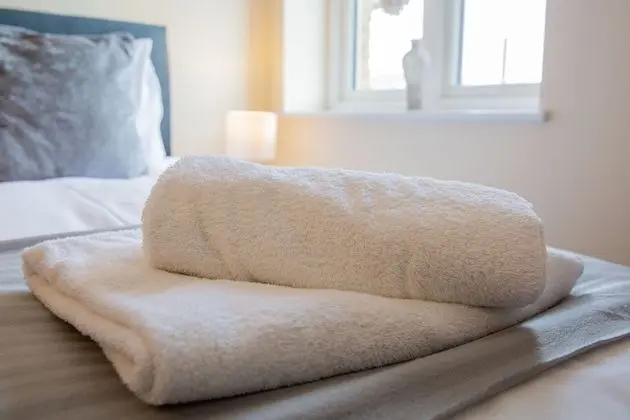 Deluxe Apart Daire, Özel Banyo, Şehir Manzaralı (2 bedroom Penthouse)