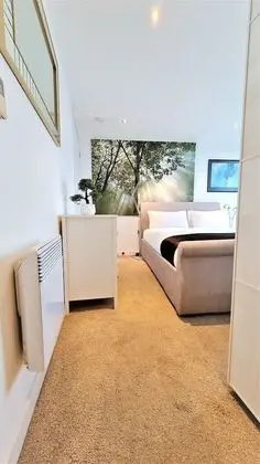 Premium Çatı Katı Süiti (Penthouse)