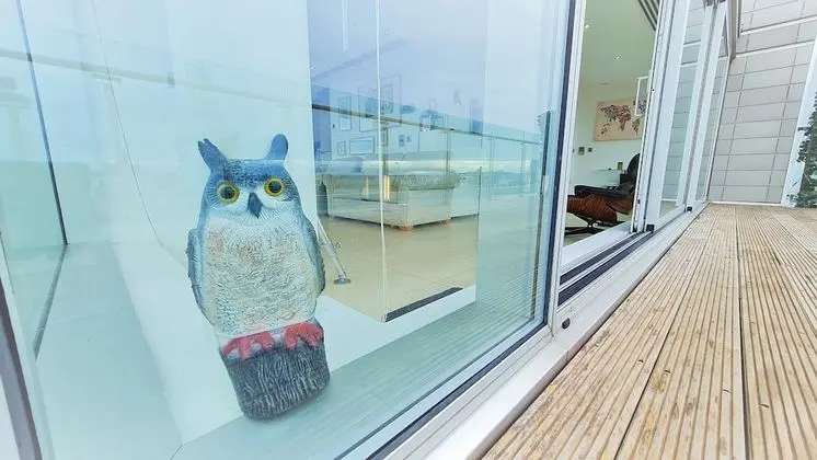 Premium Çatı Katı Süiti (Penthouse)