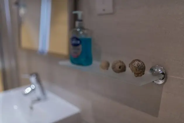 Premium Çatı Katı Süiti (Penthouse)