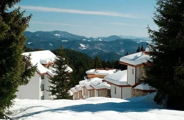 Dağ Evi, 2 Yatak Odası, Şömine