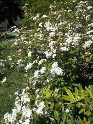 Apart Daire, 2 Yatak Odası, Buzdolabı