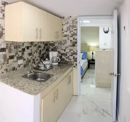 Apart Daire, 1 Yatak Odası, Mikrodalga