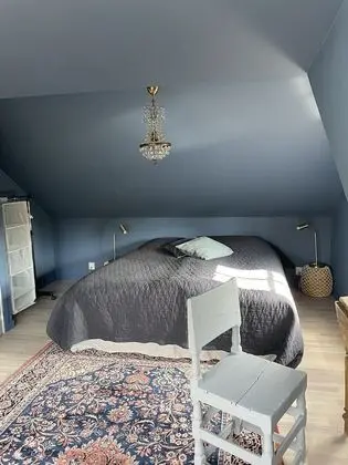 Ev