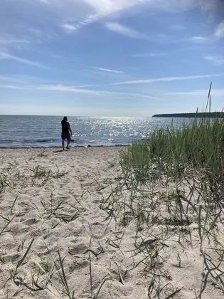Ev
