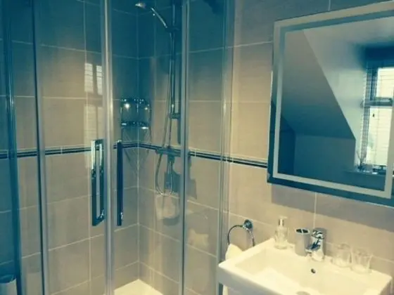 Deluxe Tek Büyük Yataklı Oda (With Shower)
