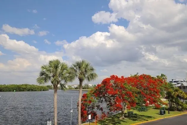 Oda (209 Little Harbor Inn)