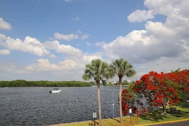 Oda (209 Little Harbor Inn)