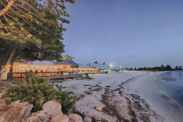 Oda (215 Little Harbor Inn)