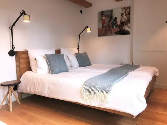 Deluxe Tek Büyük Yataklı Oda, 1 En Büyük (King) Boy Yatak, Sigara İçilmez, Özel Banyo