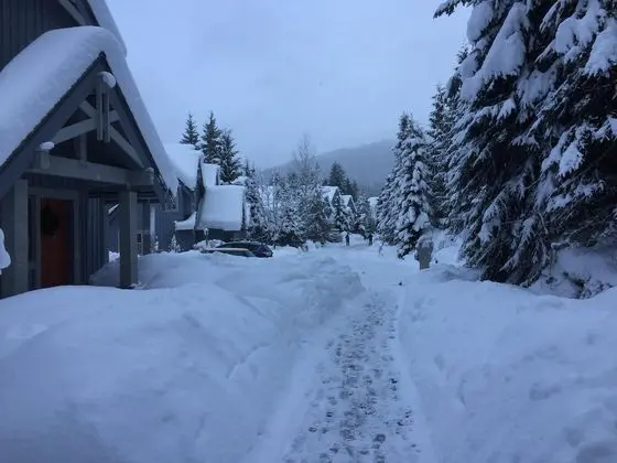 Sıra Ev, Birden Çok Yatak (#23 Treeline)
