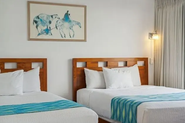 Daire, 1 Yatak Odası