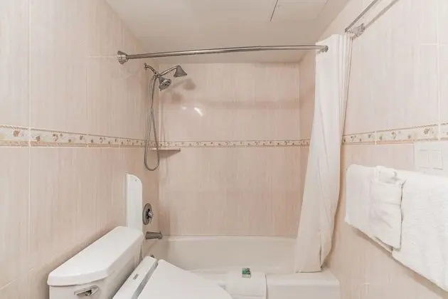 Daire, 1 Yatak Odası