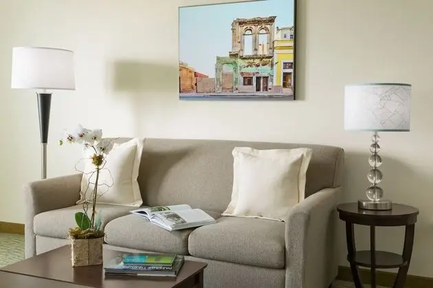 Premier Süit, 1 En Büyük (King) Boy Yatak ve Çekyat (Two-Room Suite)