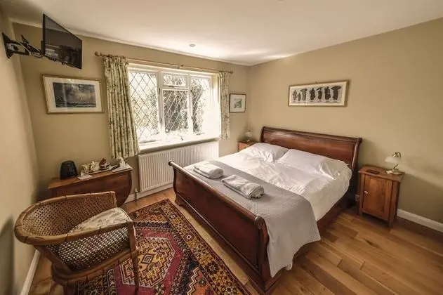 Tek Büyük Yataklı Oda, Banyolu/Duşlu (Shower)