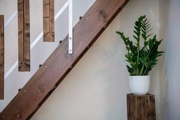 Deluxe Stüdyo Süit