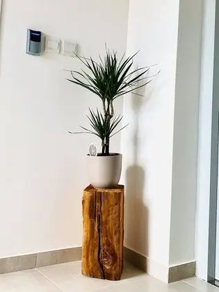 Superior Stüdyo Süit, Teras, Şehir Manzaralı