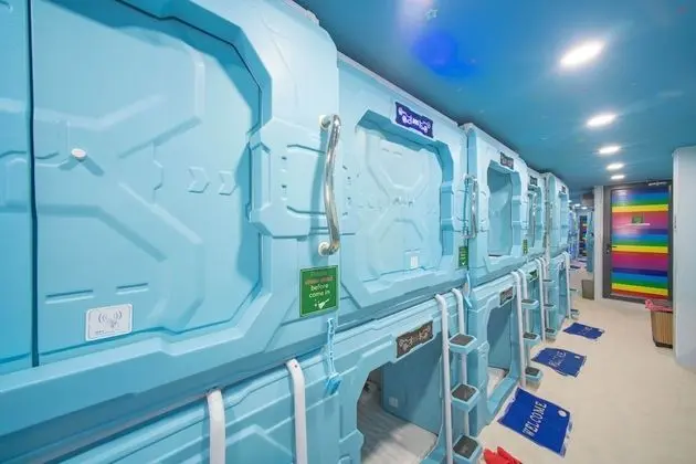 Design Kulübe, 1 Yatak Odası, Ortak Banyo