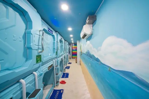 Design Kulübe, 1 Yatak Odası, Ortak Banyo