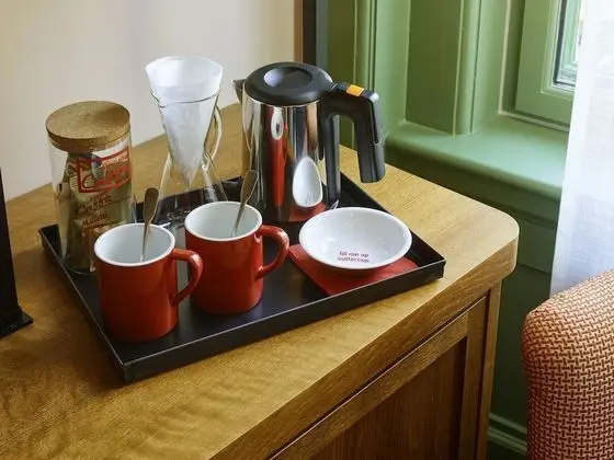 Deluxe Oda, 1 En Büyük (King) Boy Yatak