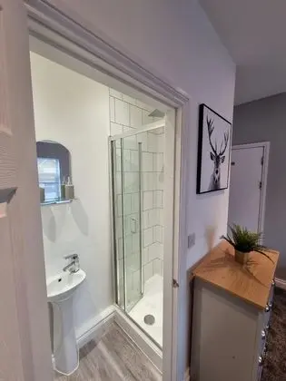 Deluxe Tek Büyük Yataklı Oda, Banyolu/Duşlu