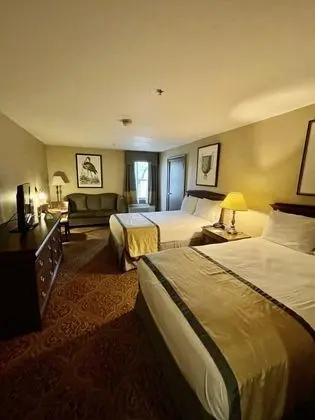 Deluxe Tek Büyük Yataklı Oda, Engellilere Uygun