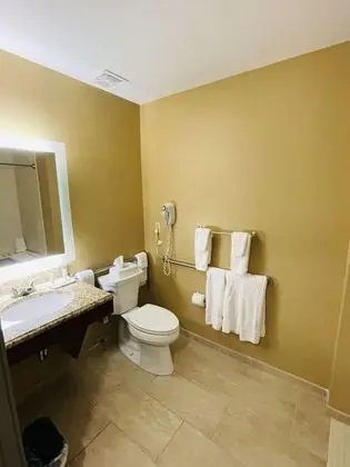 Deluxe Tek Büyük Yataklı Oda, Engellilere Uygun