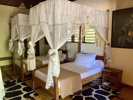 Comfort Oda (Baobab)