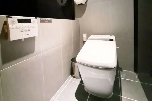 Deluxe Tek Büyük Yataklı Oda, Sigara İçilebilir