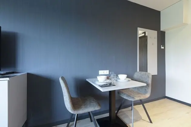 Luxury Stüdyo, 1 Çift Kişilik Yatak, Sigara İçilmez, Mutfak