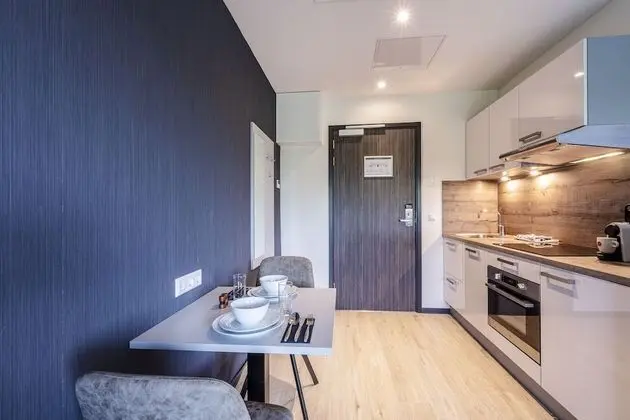 Luxury Stüdyo, 1 Çift Kişilik Yatak, Sigara İçilmez, Mutfak