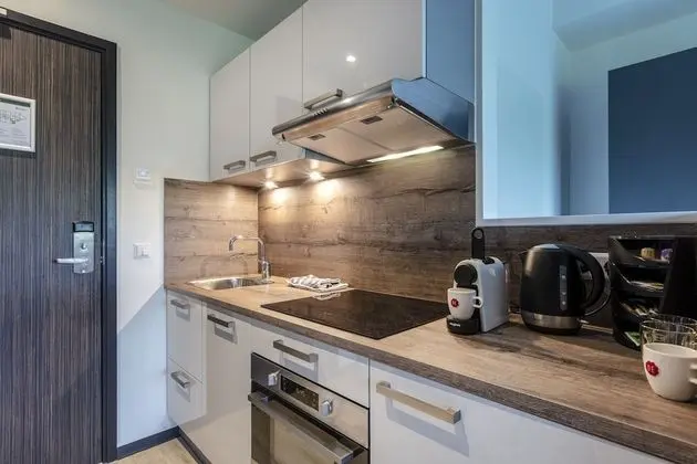 Luxury Stüdyo, 1 Çift Kişilik Yatak, Sigara İçilmez, Mutfak