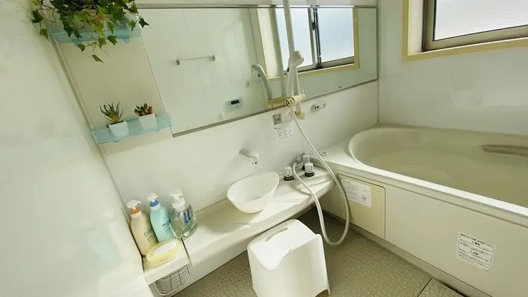 Deluxe Oda (Japanese Style Room for 3 People)