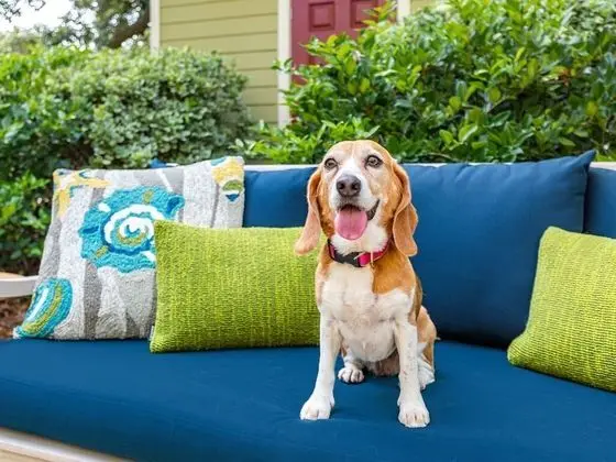 Ev, Birden Çok Yatak, Mutfak, Bahçe Manzaralı