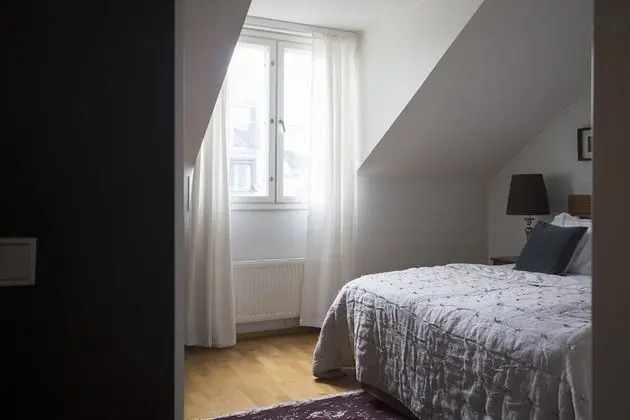 Deluxe Çatı Katı Süiti (Penthouse) (with Sauna and Balcony)