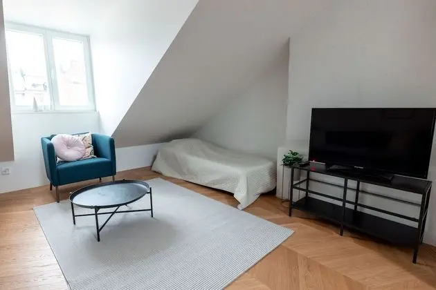 Luxury Çatı Katı (Loft), 1 Büyük (Queen) Boy Yatak ve Çekyat, Şehir Manzaralı, Executive Katı