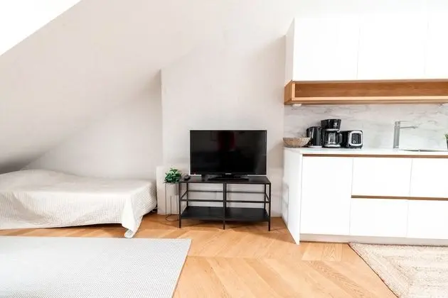 Luxury Çatı Katı (Loft), 1 Büyük (Queen) Boy Yatak ve Çekyat, Şehir Manzaralı, Executive Katı