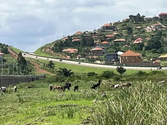 Villa, Birden Çok Yatak