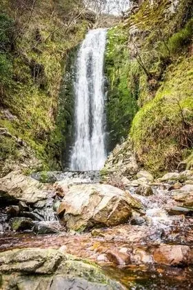Ev, Birden Çok Yatak
