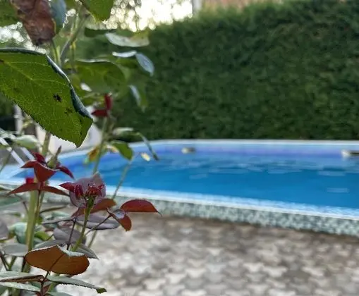 Apart Daire, 3 Yatak Odası, Teras