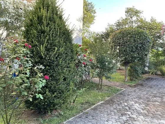 Apart Daire, 3 Yatak Odası, Teras