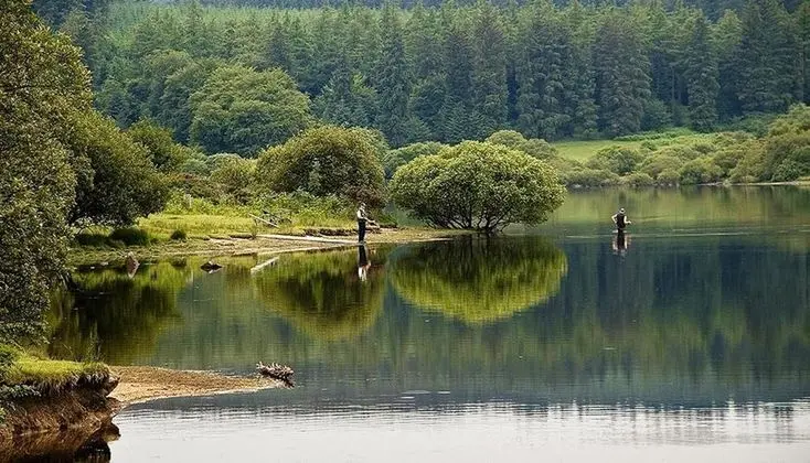 Apart Daire, Birden Çok Yatak