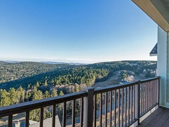 Ev, Birden Çok Yatak (3 Br:   Soaring Eagle 404)