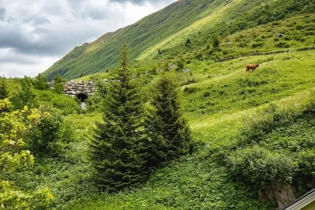 Superior Tek Büyük Yataklı Oda, Balkon