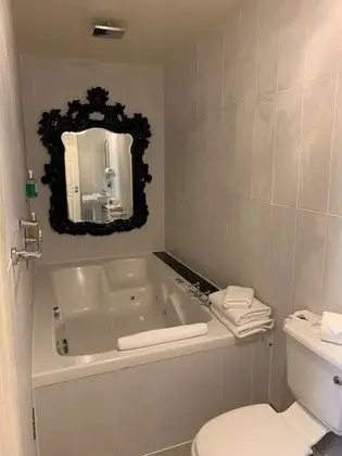 Standard Tek Büyük Yataklı Oda, 1 Çift Kişilik Yatak