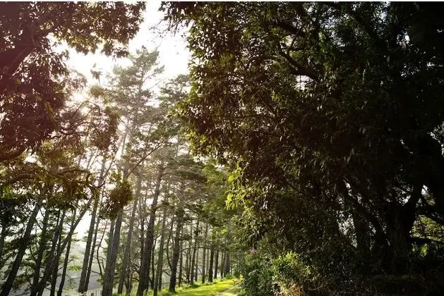 Dağ Evi, 2 Yatak Odası, Balkon